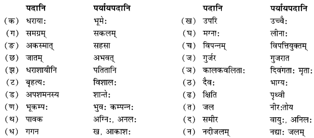 NCERT Solutions for Class 10 Sanskrit Shemushi Chapter 10 भूकंपविभीषिका