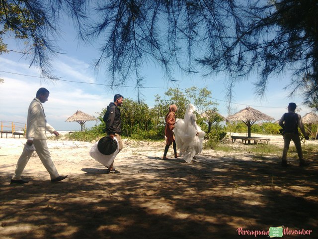 pantai mangrove