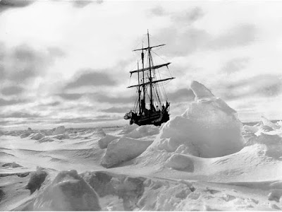 South Ernest Shackleton And The Endurance Expedition New On Bluray