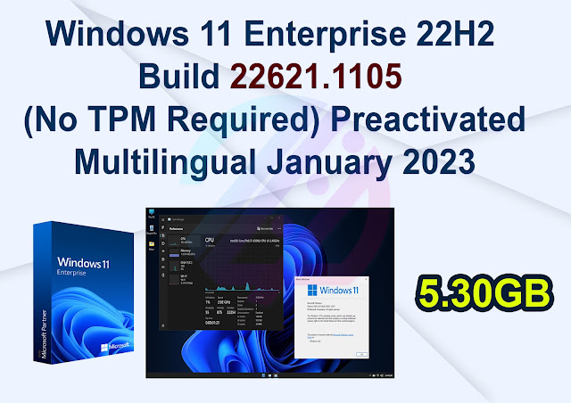 Windows 11 Enterprise 22H2 Build 22621.1105 (No TPM Required) Preactivated Multilingual January 2023