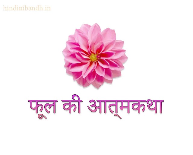 फूल की आत्मकथा | Phool Ki Atmakatha | Flower Autobiography Hindi