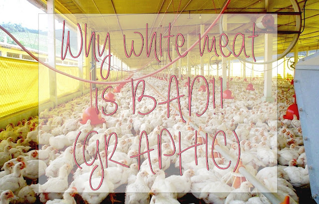 Why white meat is bad! (GRAPHIC)