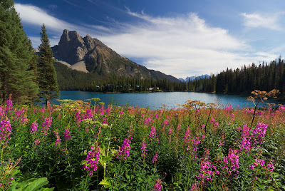 Lago Emerald en Canadá - Emerald Lake B.C