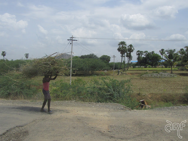 man carrying firewood in India