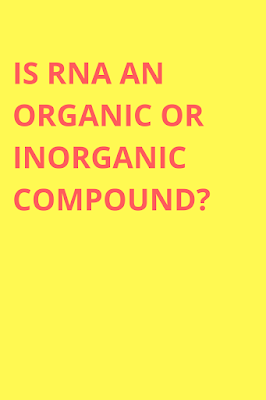 Is RNA an organic or inorganic compound?