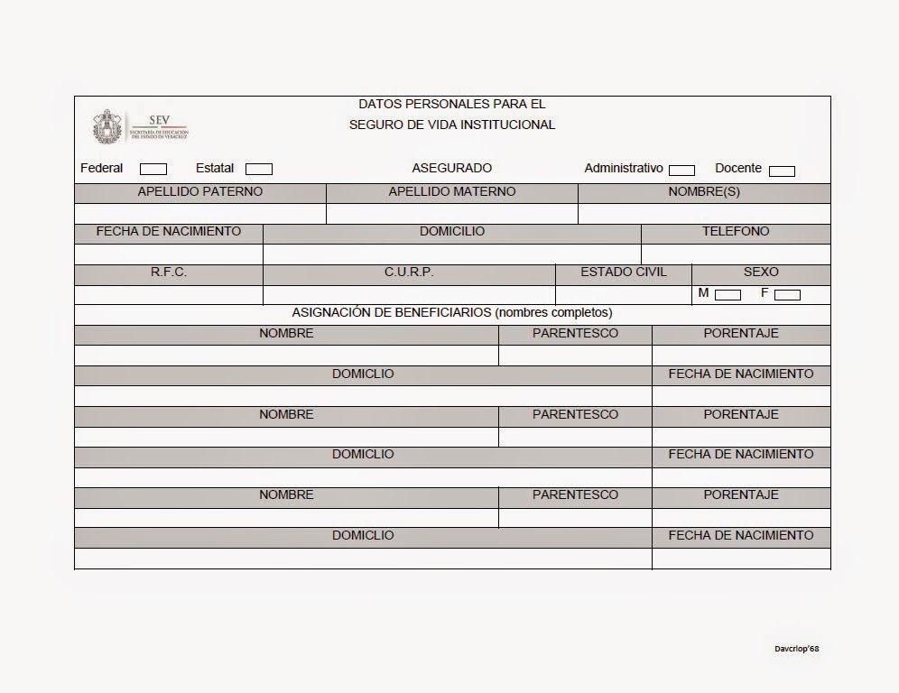 FORMATO PARA SEGURO INSTITUCIONAL