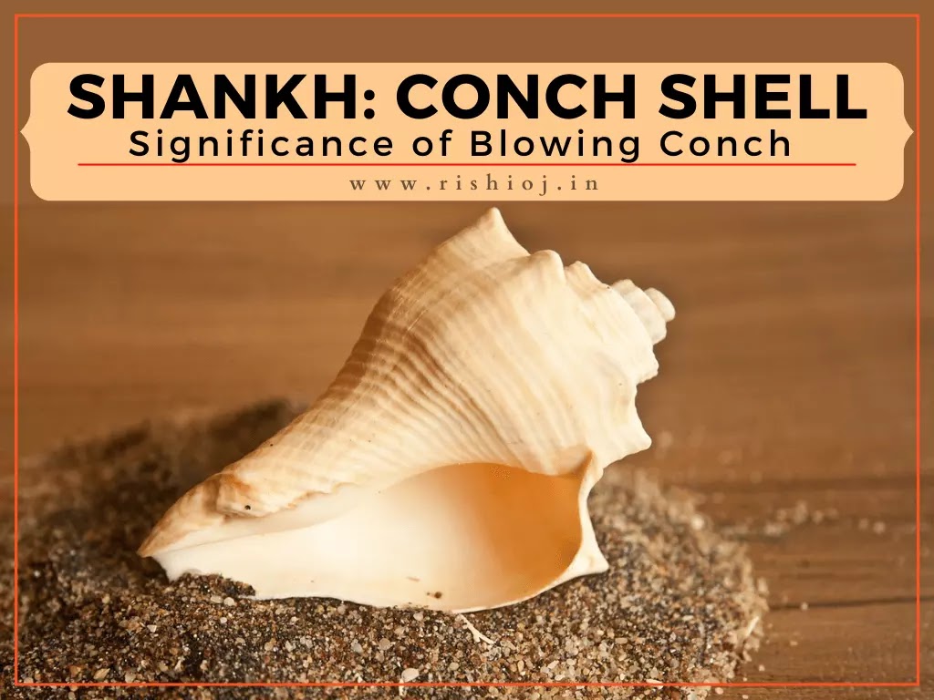 significance-of-blowing-shankh-conch-shell