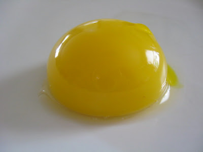 [Image: Yolk.jpg]