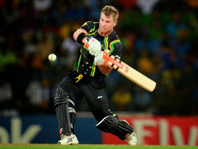 David Warner - Sunrisers Hyderabad player