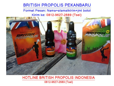 MURAH! 0812-9627-2689, Alamat Toko British Propolis Pekanbaru, Alamat Agen British Propolis Pekanbaru, Harga British Propolis Pekanbaru, Agen Resmi Jual British Propolis Pekanbaru, Distributor British Propolis Pekanbaru, Agen British Propolis Pekanbaru, Tempat Jual British Propolis Pekanbaru, Tempat Jual British Propolis Di Pekanbaru, British Propolis Di Pekanbaru, Apotik British Propolis Pekanbaru,