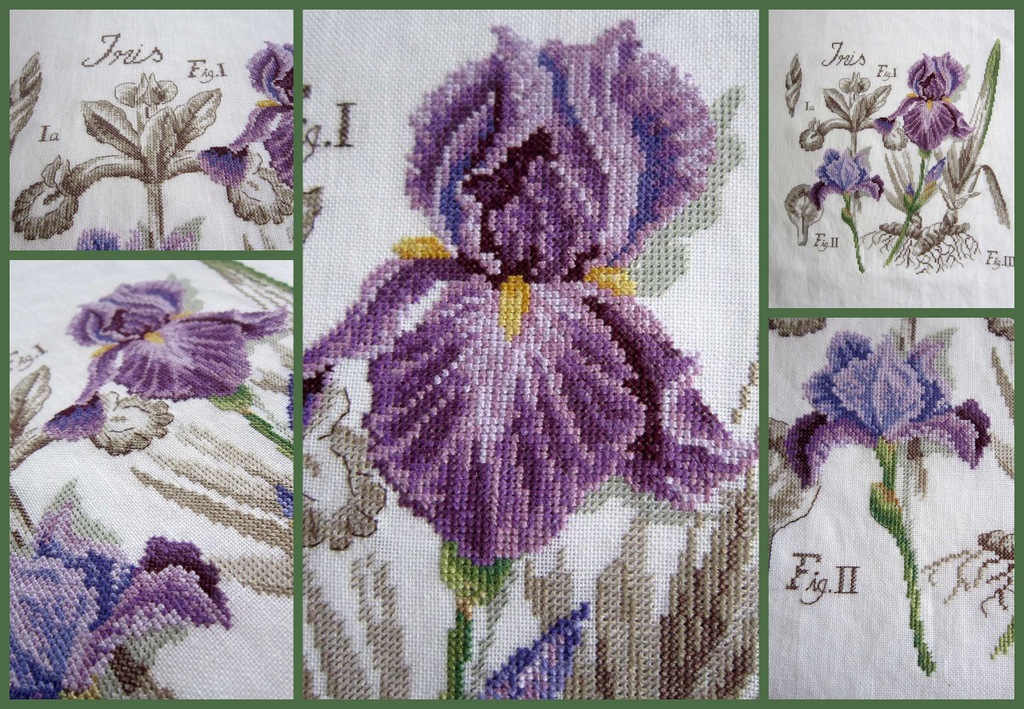 Iris Collage