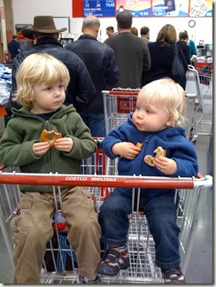 costco_photo_line