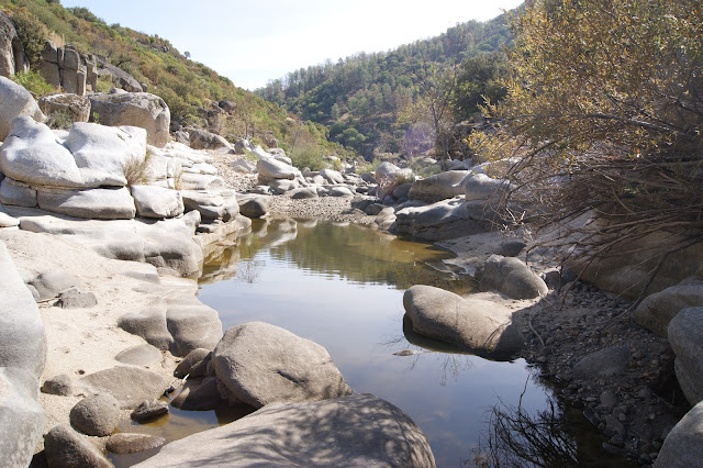 Sendero de la Vegueta del Fresno , en el Parque Natural de Cardeña