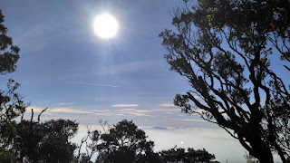 Pendakian Gunung Pangrango