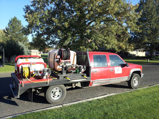 dandelions, thistles, clover, weeds, pest control, walla walla, extermination