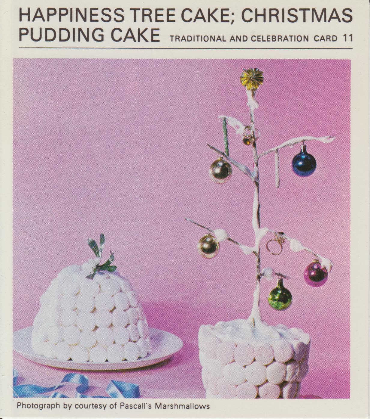 ... Cake; Christmas Pudding Cake - 1960's (Marguerite Patten Recipe Card