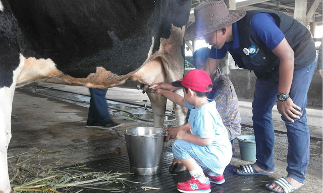 Sentul Fresh Dairy Farm