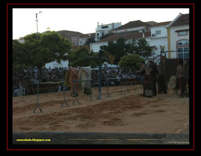 Australian Shepherd in Silves