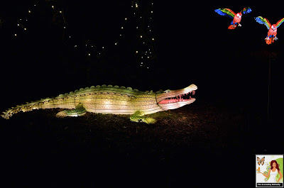 Illuminated Crocodile Alligator Bronx Zoo Holiday of Lights 2019