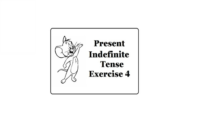 Exercise 4 Present Indefinite Tense In Hindi • English Grammar