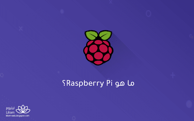 ما هو Raspberry Pi؟