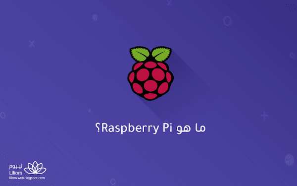 ما هو Raspberry Pi؟