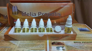 propolis palembang box