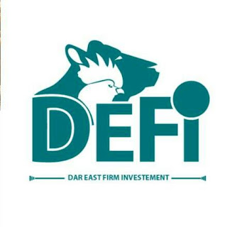 DAR EAST FIRM INVESTMENT