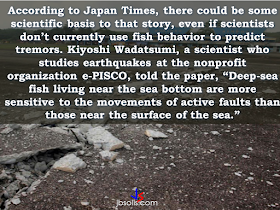 A lot of speculation towards this giant sea creature has been on the rise since  Surigao City, Philippines was hit by a  6.7 magnitude earthquake and prior to the said disaster that killed 8 people, a giant oarfish was seen in the shore, which many people believe that the oarfish sighting was a warning that the giant sea animal has somehow knew that disaster was about to happen.     The National Geographic has these facts about the mysterious sea creature to set the records straight:   1. The oarfish is the world’s longest bony fish.     2. Giant oarfish tastes like gelatinous goo.     3. Giant oarfish eat tiny plankton and aren’t dangerous.     4. Oarfish lack scales.      5. Oarfish have been said to forecast earthquakes.      According to the reports,  a 10-foot-long dead oarfish was caught by fishermen off the coast of Agusan del Norte days before the devastating earthquake took place. Dr. Rachel Grant , a researcher in animal biology who study the possibility of detecting earthquakes using animal behavior said that the 'myth' about the oarfish being able to sense the forecoming earthquake can be possible.   In research published in the International Journal of Environmental Research and Public Health in 2011, Grant and a research team found that tectonic stresses in the Earth's crust send "massive amounts of primarily positive air ions into the lower atmosphere." When these ions reach a body of water, they oxidize "water to [create] hydrogen peroxide. Other reactions at the rock-water interface include the oxidation or partial oxidation of dissolved organic compounds," the authors wrote. The resulting compounds "may be irritants or toxins to certain species of animals," possibly resulting in the toads' migration from an otherwise welcoming pond.      However, another scientist does not conform to the idea that animals can detect the forthcoming earthquake. Catherine Dukes said: "The question is, can we detect it in the environment?" And can animals detect a sudden rise in atmospheric ozone?  None of these hypotheses, however, is ready to be developed into an animal-based, early-warning system for earth tremors."  "This is not a way to predict earthquakes," Dukes said. "It's just a way to warn that the Earth is moving and something — an earthquake, or a landslide or something else — might follow."  RECOMMENDED: ON JAKATIA PAWA'S EXECUTION: "WE DID EVERYTHING.." -DFA  BELLO ASSURES DECISION ON MORATORIUM MAY COME OUT ANYTIME SOON  SEN. JOEL VILLANUEVA  SUPPORTS DEPLOYMENT BAN ON HSWS IN KUWAIT  AT LEAST 71 OFWS ON DEATH ROW ABROAD  DEPLOYMENT MORATORIUM, NOW! -OFW GROUPS  BE CAREFUL HOW YOU TREAT YOUR HSWS  PRESIDENT DUTERTE WILL VISIT UAE AND KSA, HERE'S WHY  MANPOWER AGENCIES AND RECRUITMENT COMPANIES TO BE HIT DIRECTLY BY HSW DEPLOYMENT MORATORIUM IN KUWAIT  UAE TO START IMPLEMENTING 5%VAT STARTING 2018  REMEMBER THIS 7 THINGS IF YOU ARE APPLYING FOR HOUSEKEEPING JOB IN JAPAN  KENYA , THE LEAST TOXIC COUNTRY IN THE WORLD; SAUDI ARABIA, MOST TOXIC  "JUNIOR CITIZEN "  BILL TO BENEFIT POOR FAMILIES