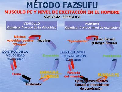 Sexuality of the New Age. Symbolic analogy between the control of level excitation  and control of the speed a vehicle.