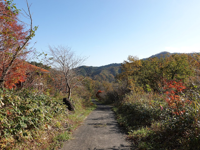 鳥取県東伯郡琴浦町の千丈滝展望駐車場から遊歩道を降ります