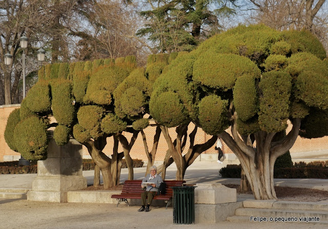 parque de el retiro madrid