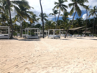 Sunbeds and palm trees on a white sand beach