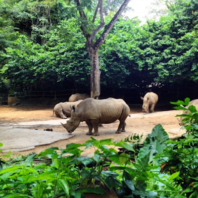 Singapur Zoo