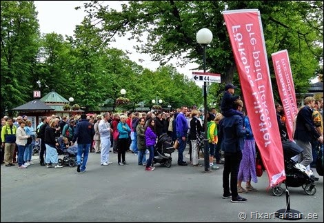 Köer-Skansen-Midsommar-2014