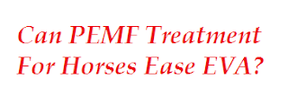 Can PEMF Treatment For Horses Ease EVA?