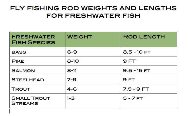 What is Fly Rod Weight and How to Use Our Fly Rod Weight Chart – Outfishers
