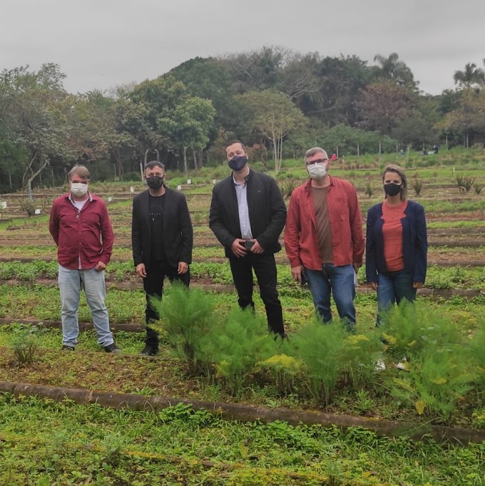 CACHOEIRINHA | Cristian Wasem quer distribuição gratuita de ervas medicinais através do projeto Farmácia Viva