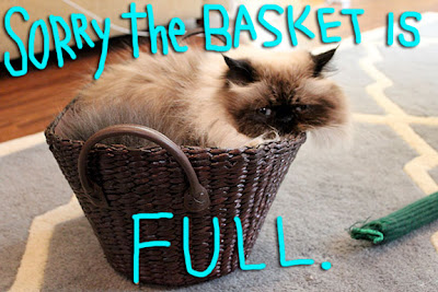 basket-full-01