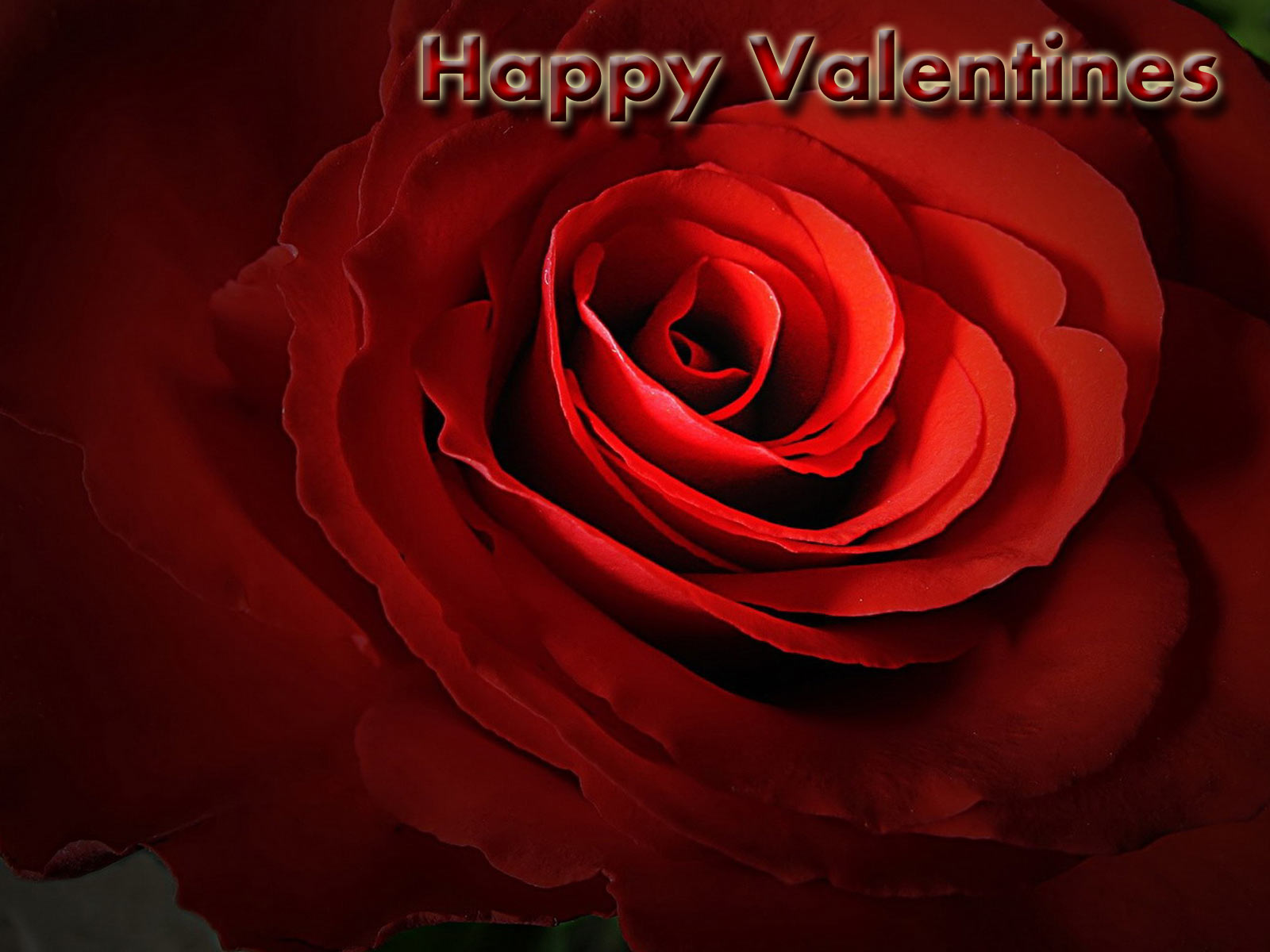 ... wallpaper free download wallpaper valentine valentine wallpaper free