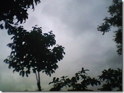 Img00098