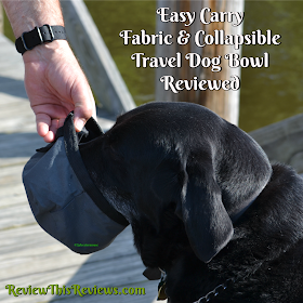 Easy Carry Fabric & Collapsible Travel Dog Bowl Reviewed