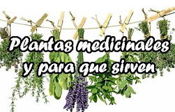 Plantas Medicinales y para que sirve cada una