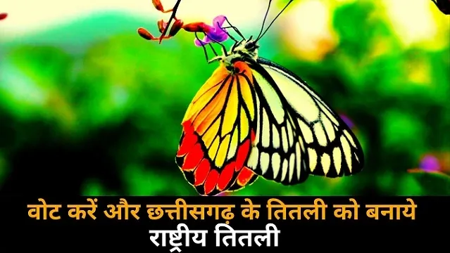 वोट करें और छत्तीसगढ़ के तितली को बनाये राष्ट्रीय तितली | Vote for National Butterfly |