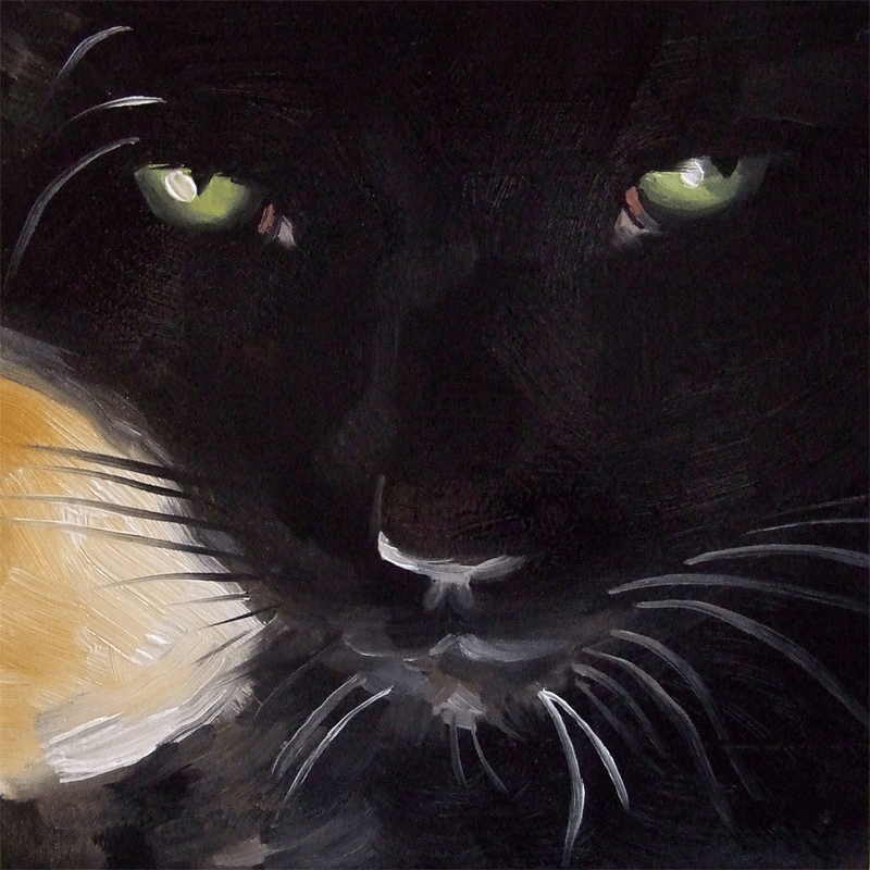 Paintings From the Parlor: Black Cat Stare - Original Oil ...
