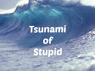 Tsunami of Stupid