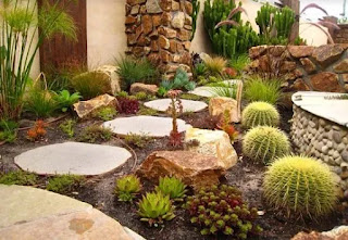 Ideas de jardín de cactus de bricolaje 6