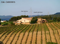 La masia de Can Carreres vista des de la Serra del Ginebrer
