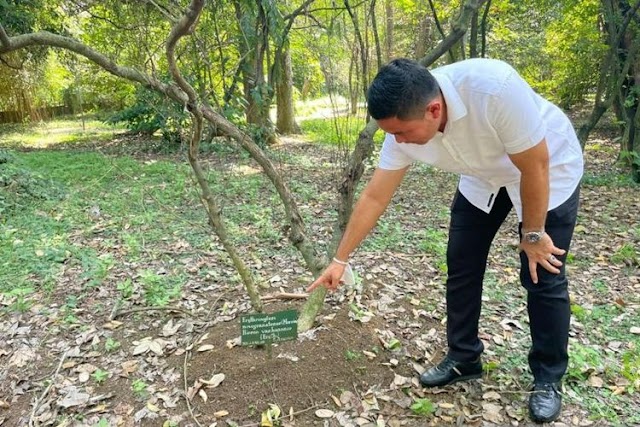 Polisi Datangi Kebun Raya Bogor, Selidiki Tanaman Bahan Pembuat Kokain yang Dikirim ke Luar Negeri