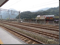 IMG_6673 copy